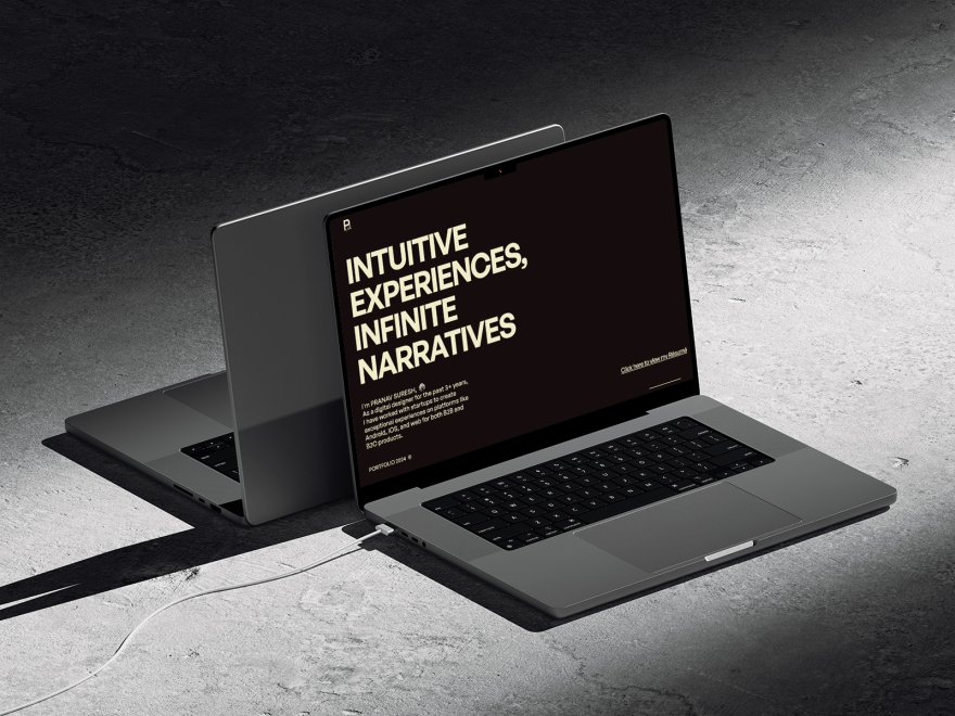 Pranav's Portfolio