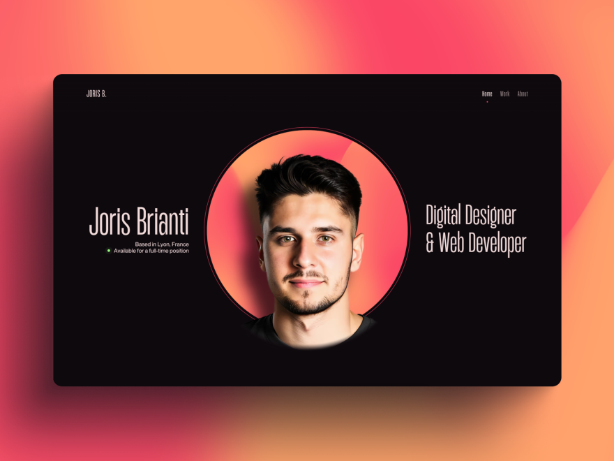 Joris Brianti - Portfolio