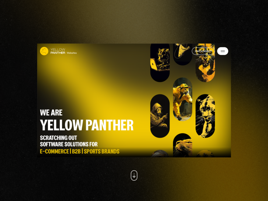 Yellow Panther