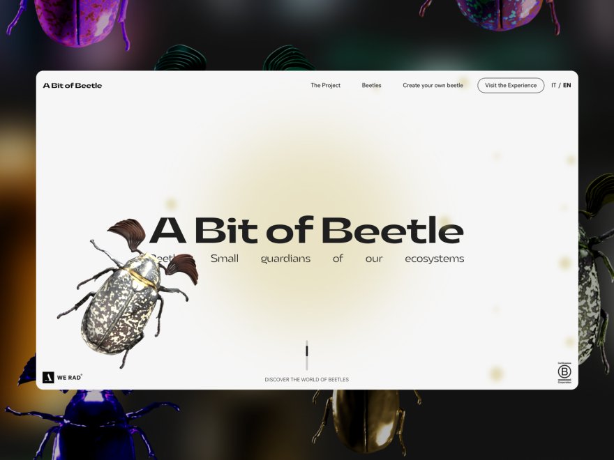 A Bit of Beetle