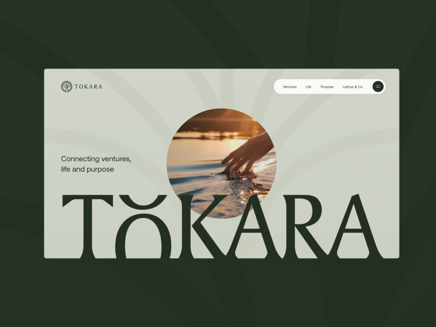 Tokara Ventures