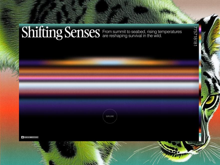 Shifting Senses