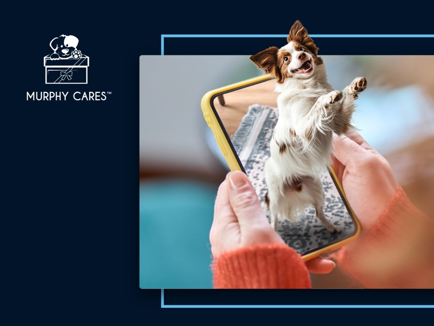 murphycares.com