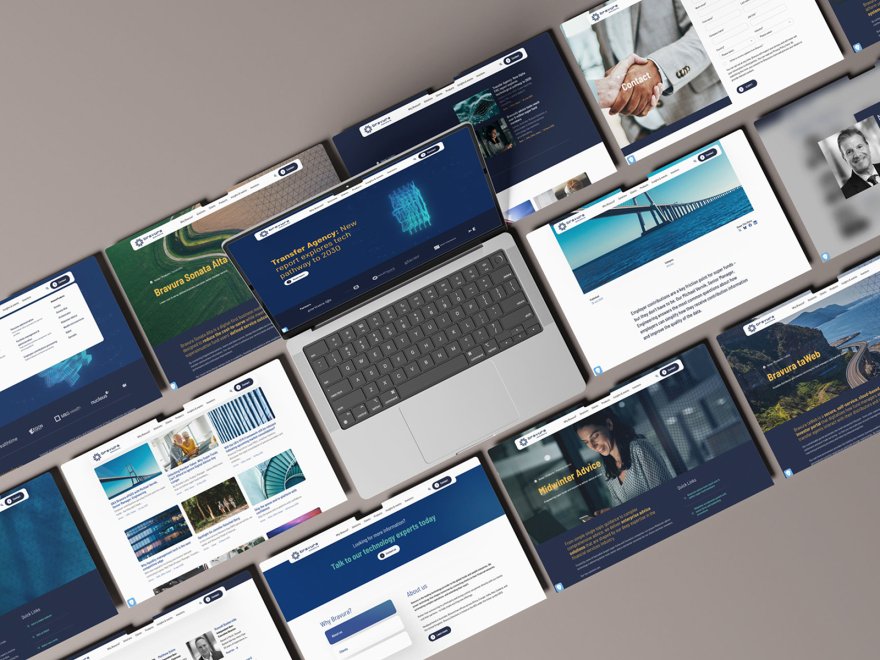 Bravura Solutions