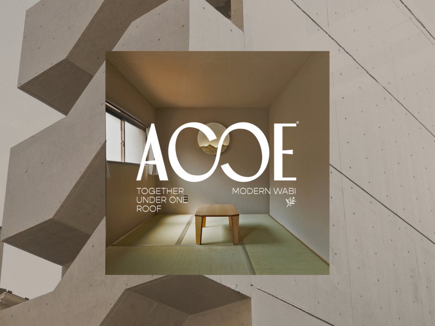 ACOE - A Change Of Experience