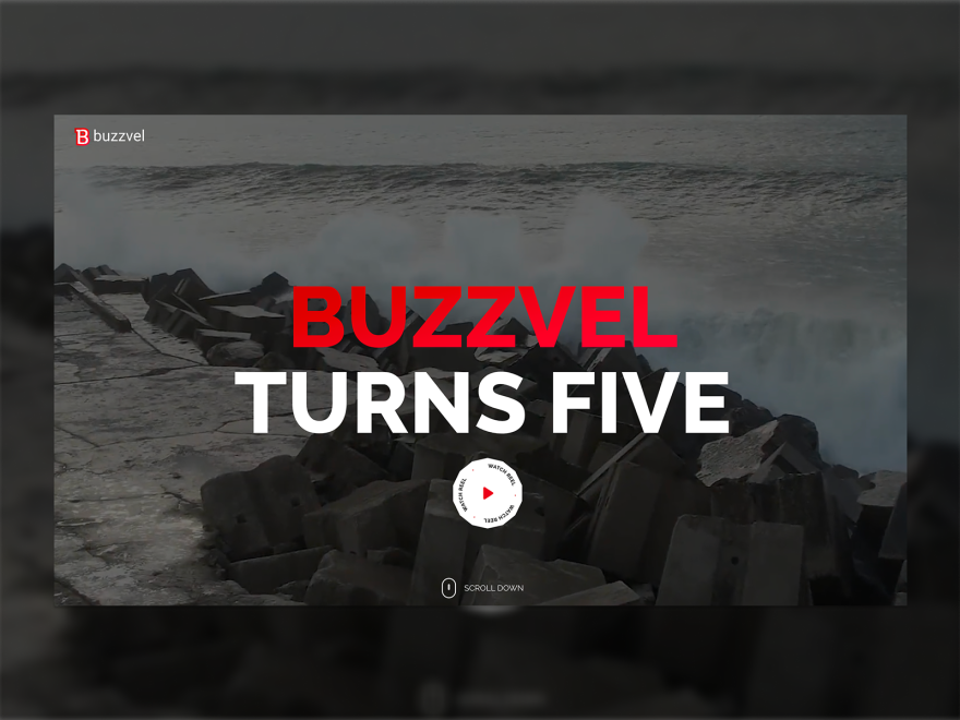 Buzzvel 5 Years