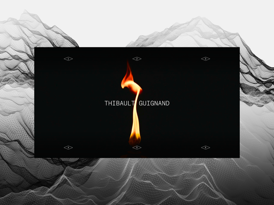 THIBAULT GUIGNAND PORTFOLIO