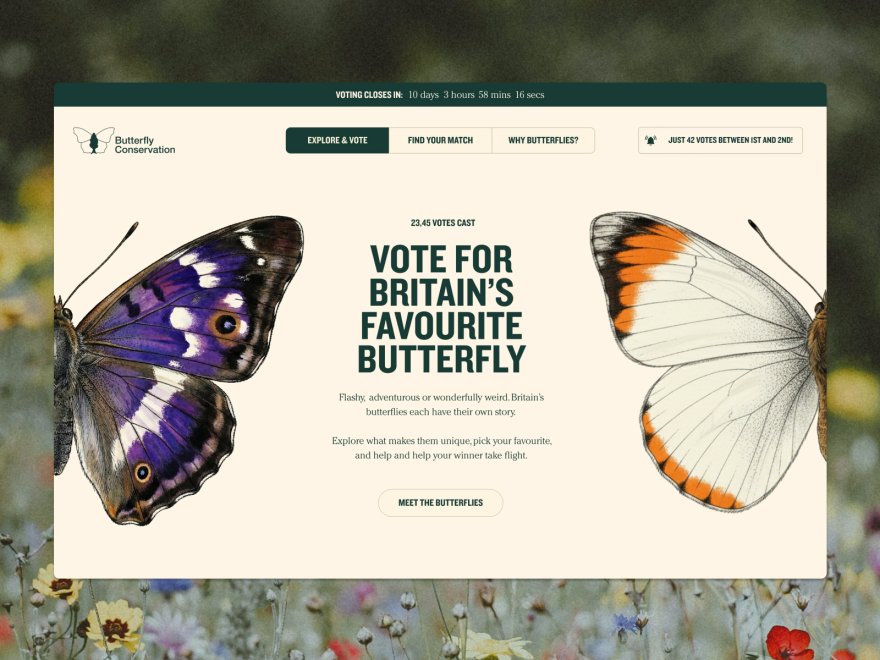 Britain's Favourite Butterfly