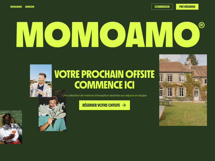 MomoAmo