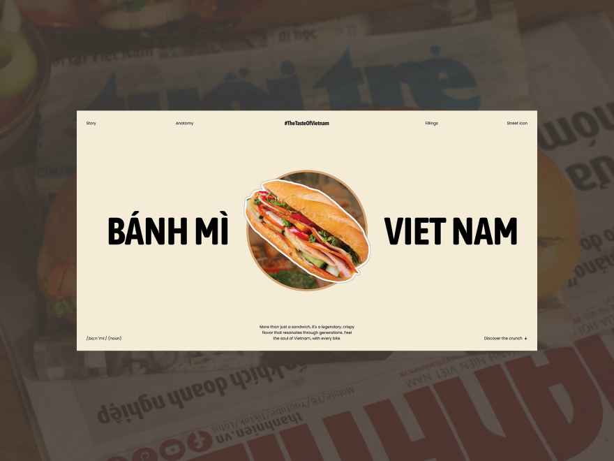 Banh mi Viet Nam