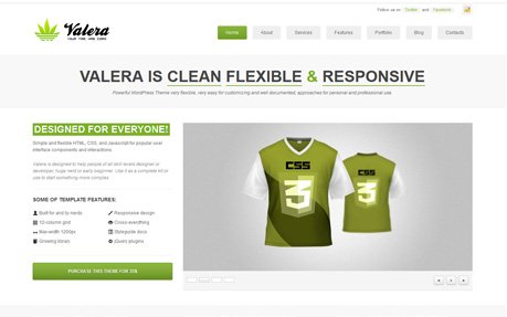 VALERA - Responsive Wordpress Theme