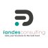 Fandes Consulting