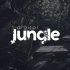 Digital Jungle Agency