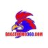 dagathomo360com