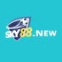 news-sky88