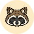 Raccoon Web Ltd