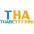 thabet77-pro