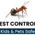 Ant Pest Control Perth