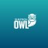 Owl Digitech