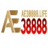ae3888-8-life