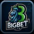 bigbetltd24