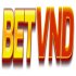 betvndnet