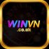 winvncouk