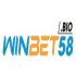 winbet58-bio