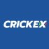 Crickex Org