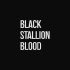 Black Stallion Blood