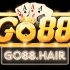 go88-hair