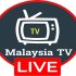 TVMY.online