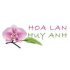 Hoa Lan Huy Anh