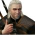 thewitcher1272