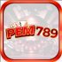 pem789 it com