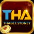 thabet