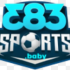 383sports