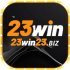 23win23biz