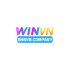 Winvncompany1