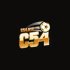C54