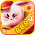 668v-net