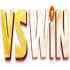 VSWIN