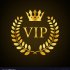 VIP666