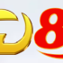 td88