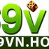 69vn