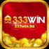 333Win