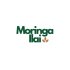 Moringa supplements