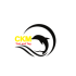 ckm-test-and-tag