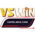 vswin