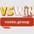 vswin